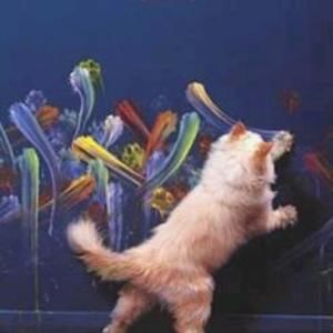 Meet your Posher, Ardis